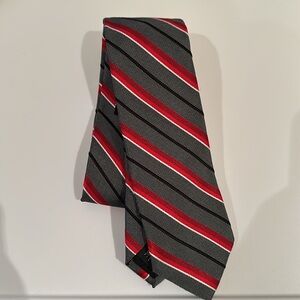 NWT Express Men’s Striped Tie